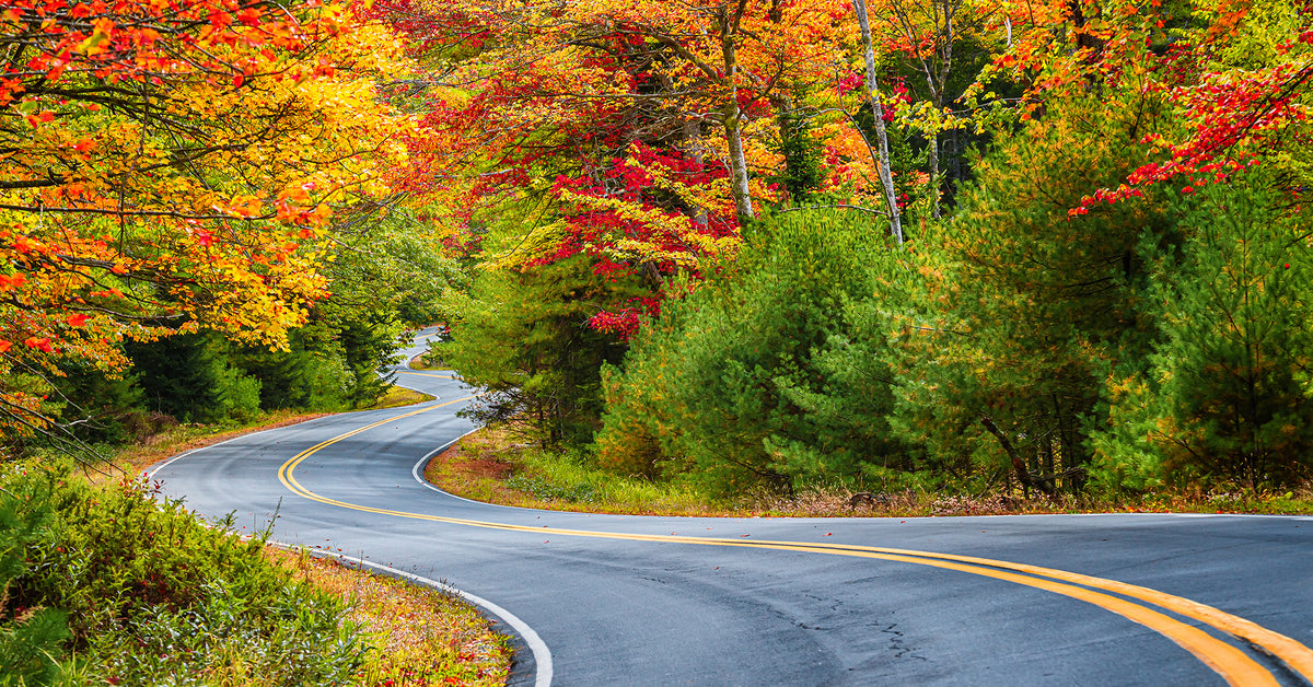 Autumn Road Trip on sale Framed